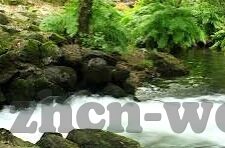 威尼斯人注册送28彩金-威尼斯人注册送28彩金,体验博彩新乐趣